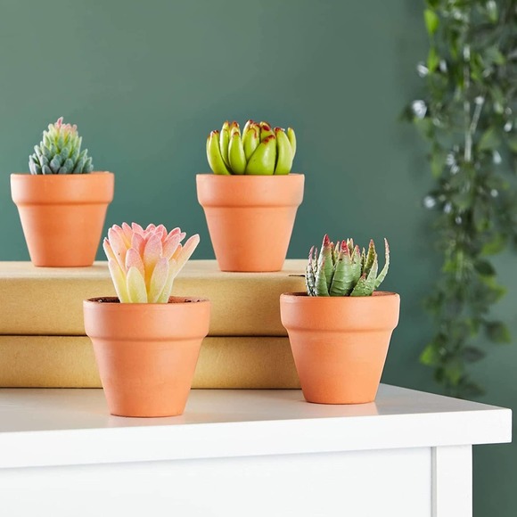 18-PK Mini Terracotta Pots for Succulents, Small 3.2" Clay Flower Pot Planters - Picture 2 of 6